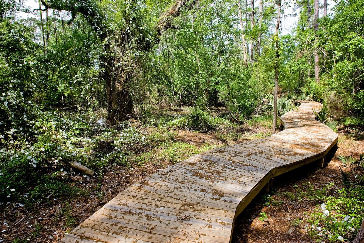 Audubon Newhall Preserve, photo 1 of 6