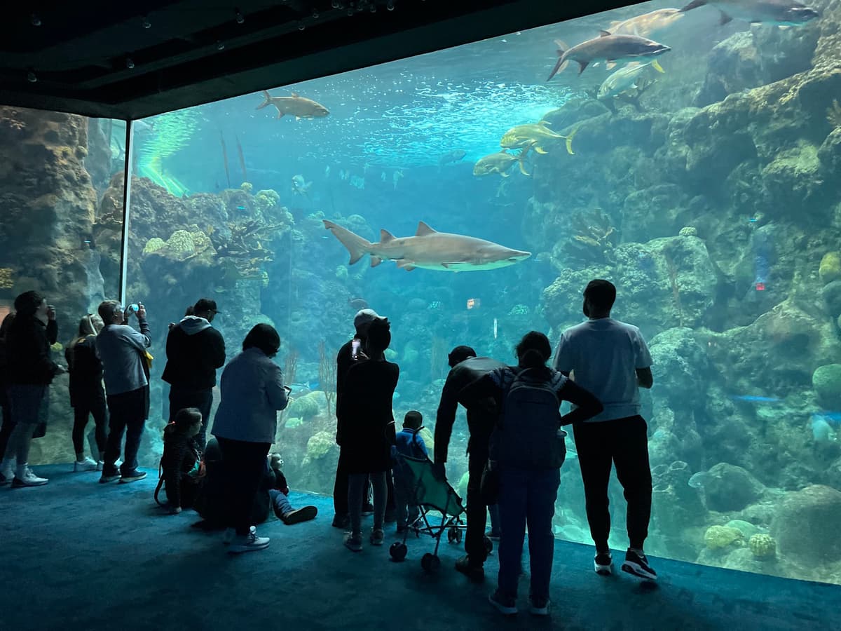 The Florida Aquarium
