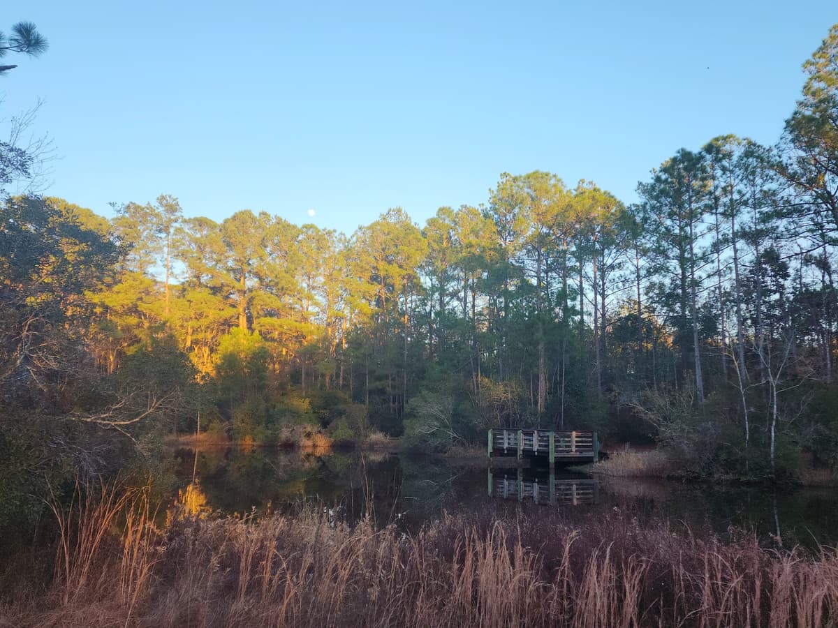 City Of Gulf Shores Wetlands Park