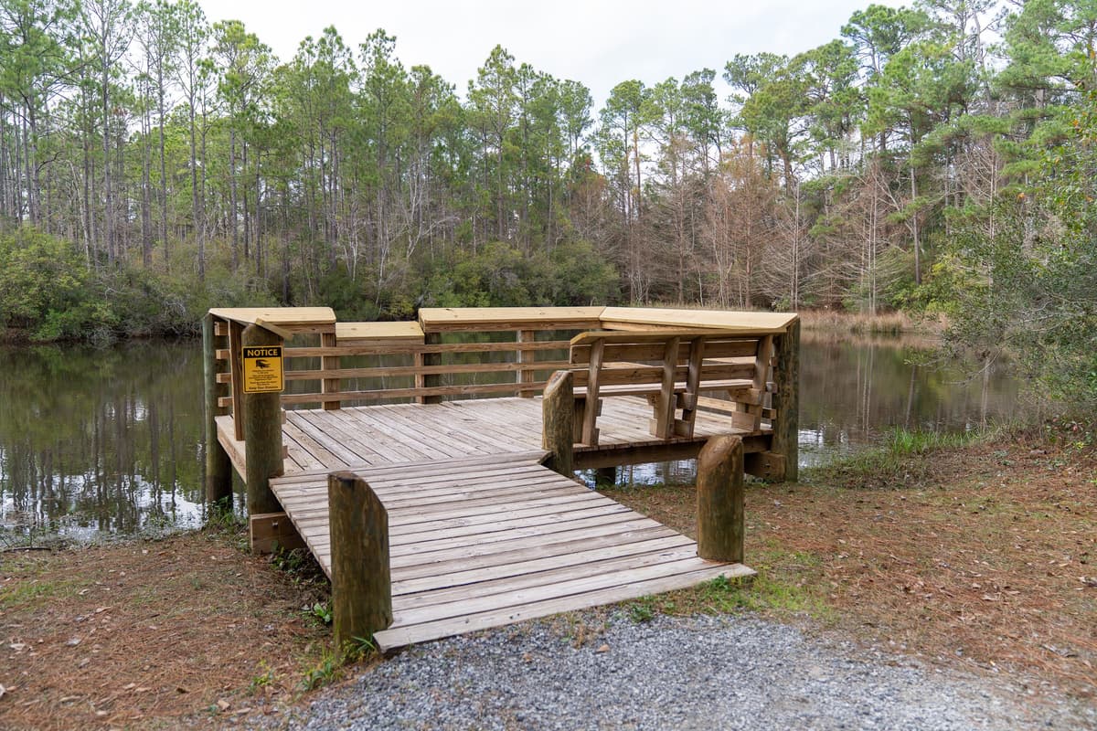 City Of Gulf Shores Wetlands Park