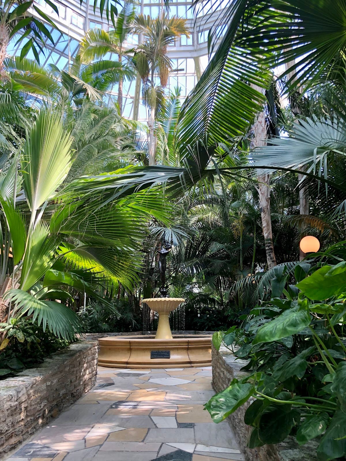 Tropical Encounters