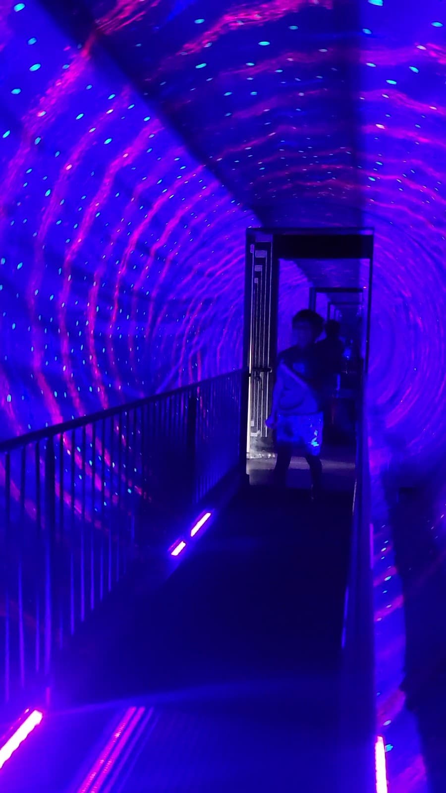 Museum of Illusions Boston