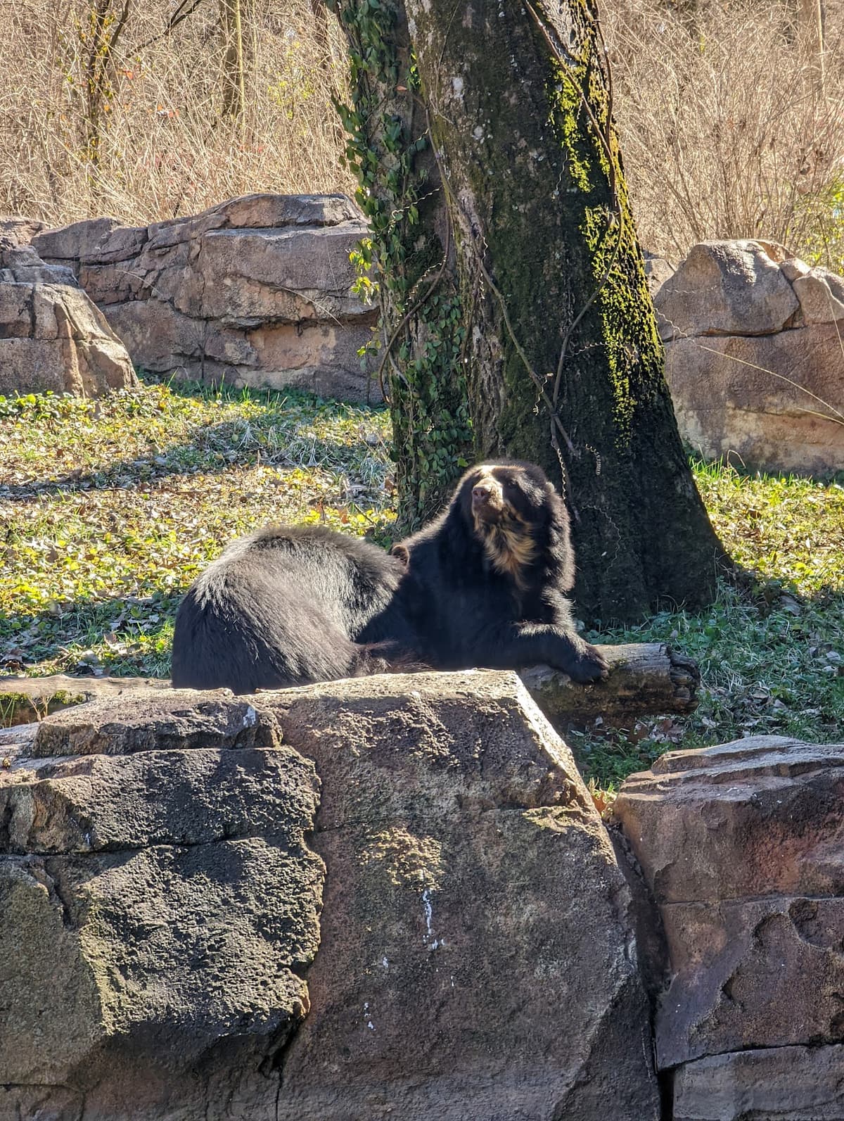 Nashville Zoo at Grassmere