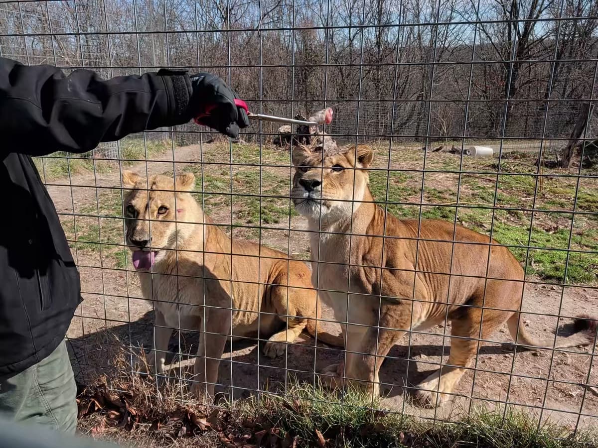 National Tiger Sanctuary