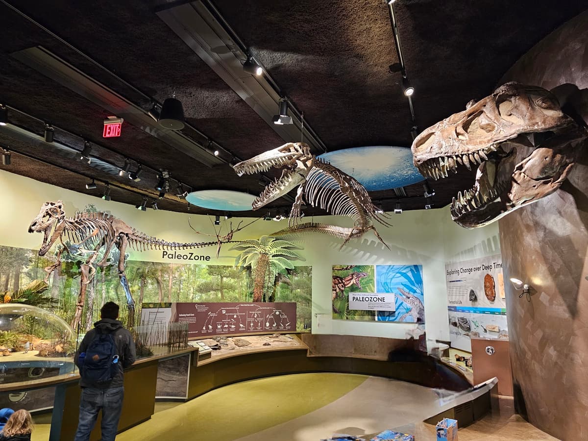 Delaware Museum of Nature & Science
