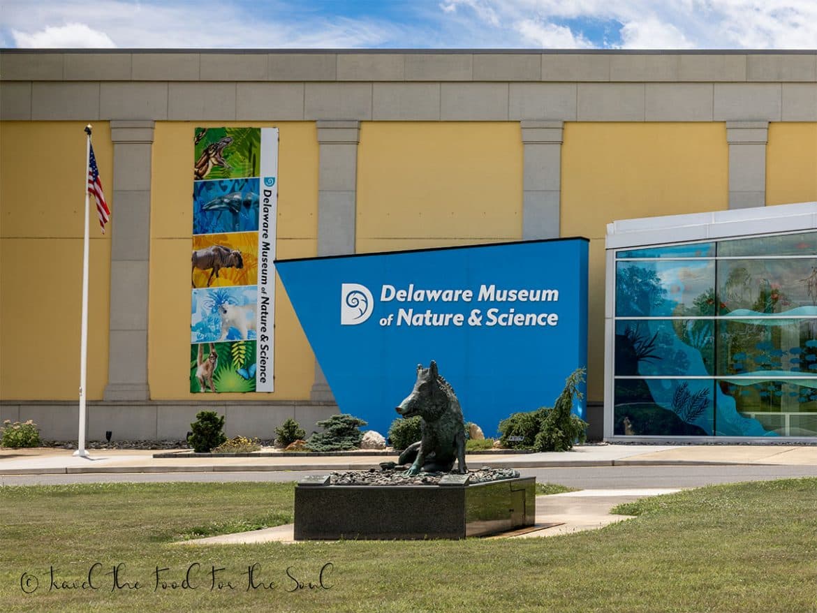 Delaware Museum of Nature & Science — photo 1 of 6