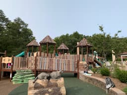 Chessie's Big Backyard