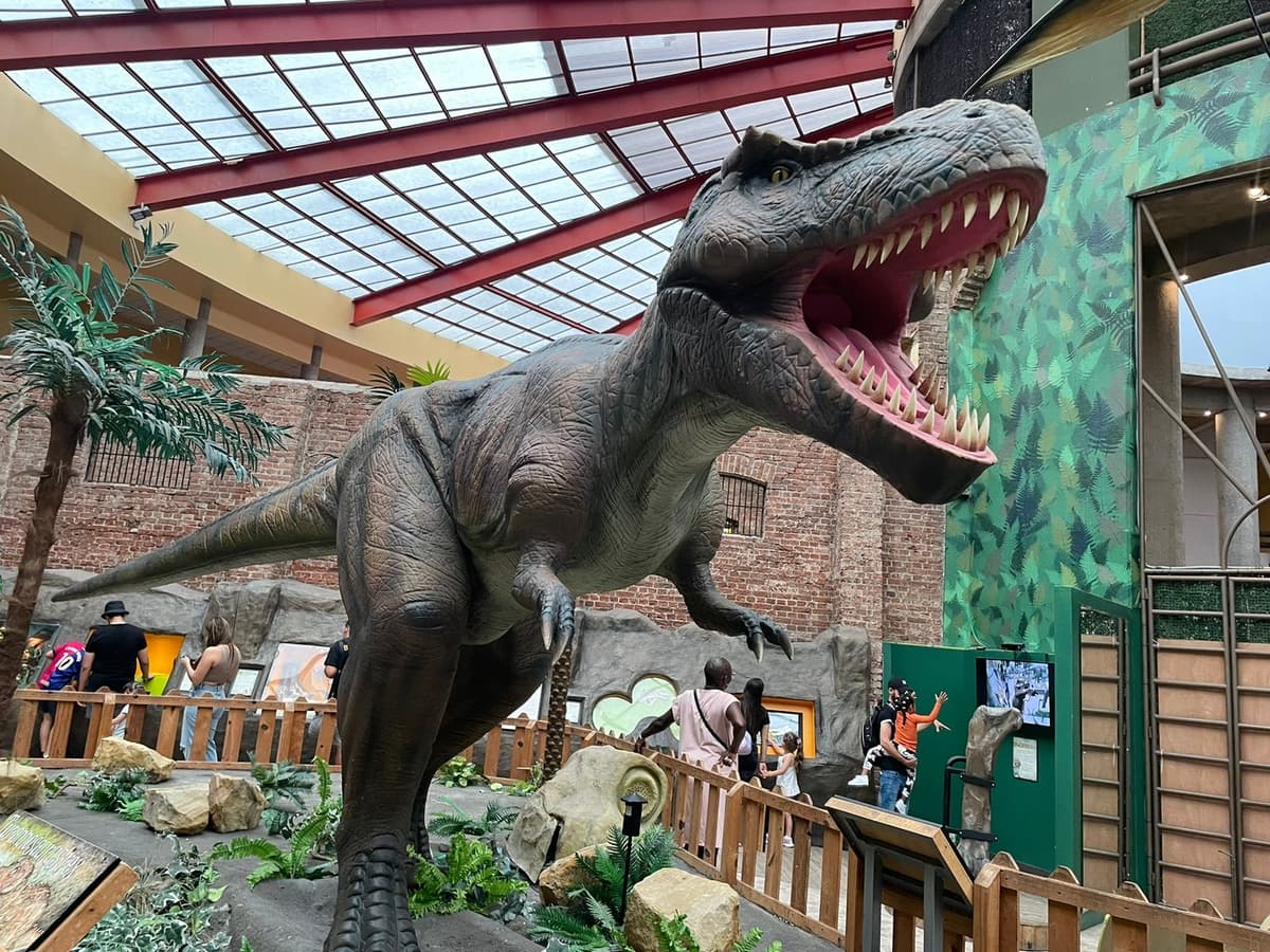 Children's Museum