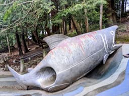 Salmon Slide - Carkeek Park Playground