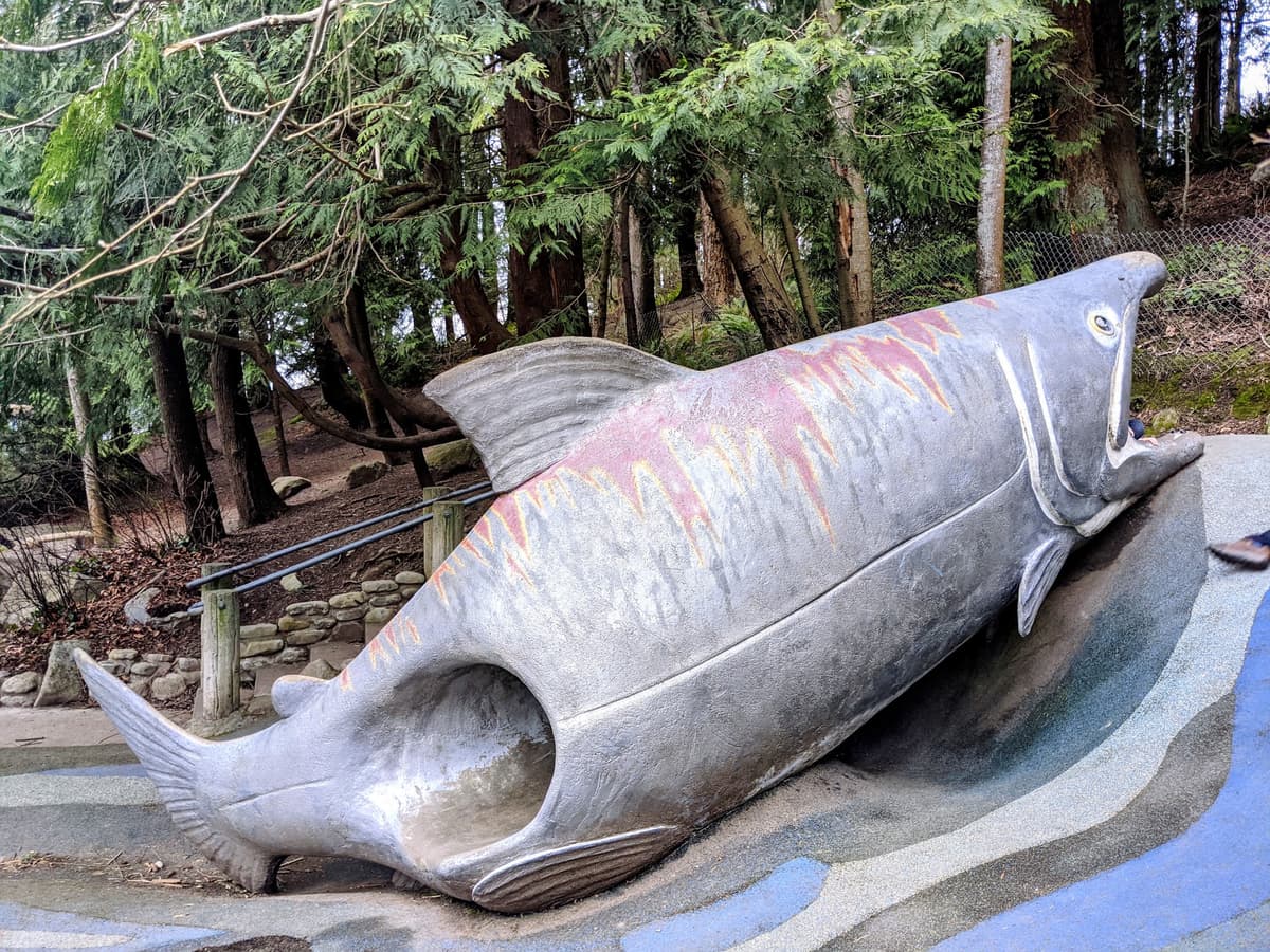 Salmon Slide - Carkeek Park Playground, photo 1 of 1