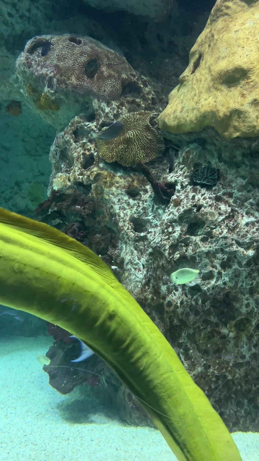 National Aquarium