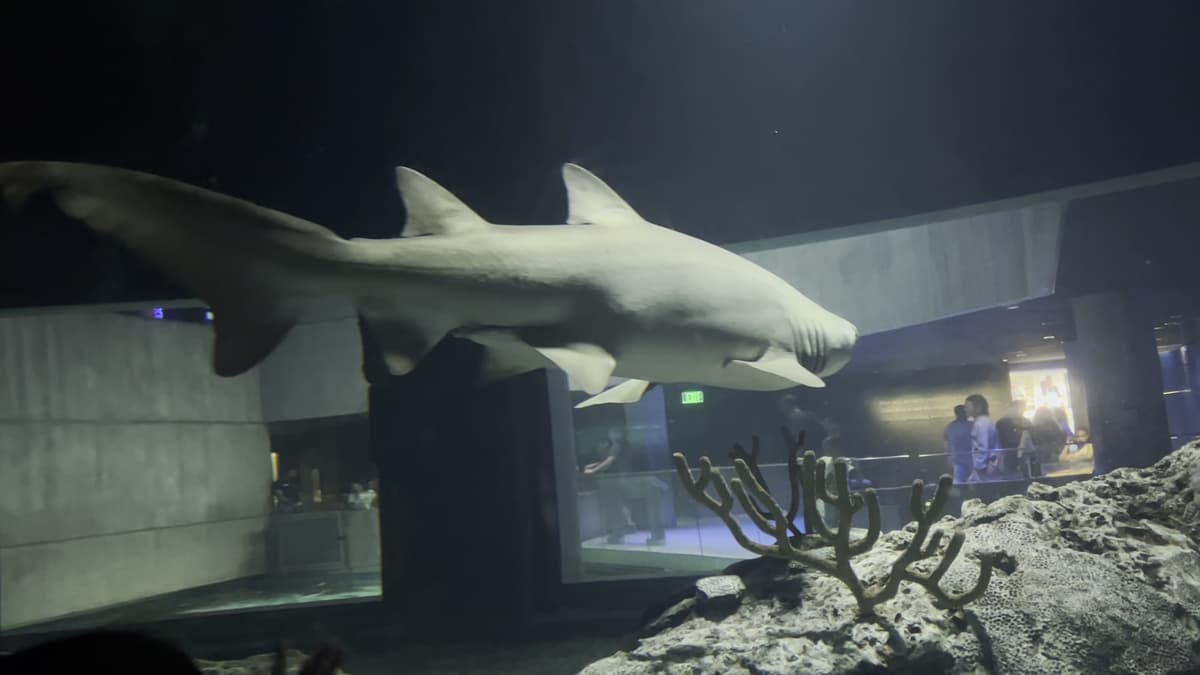 National Aquarium