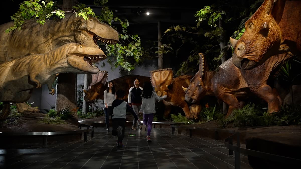 Nature Museum