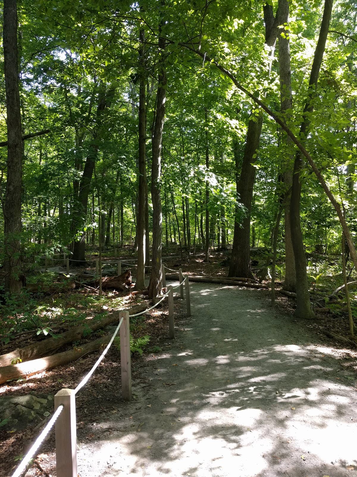 Mass Audubon's Broad Meadow Brook Conservation Center and Wildlife Sanctuary