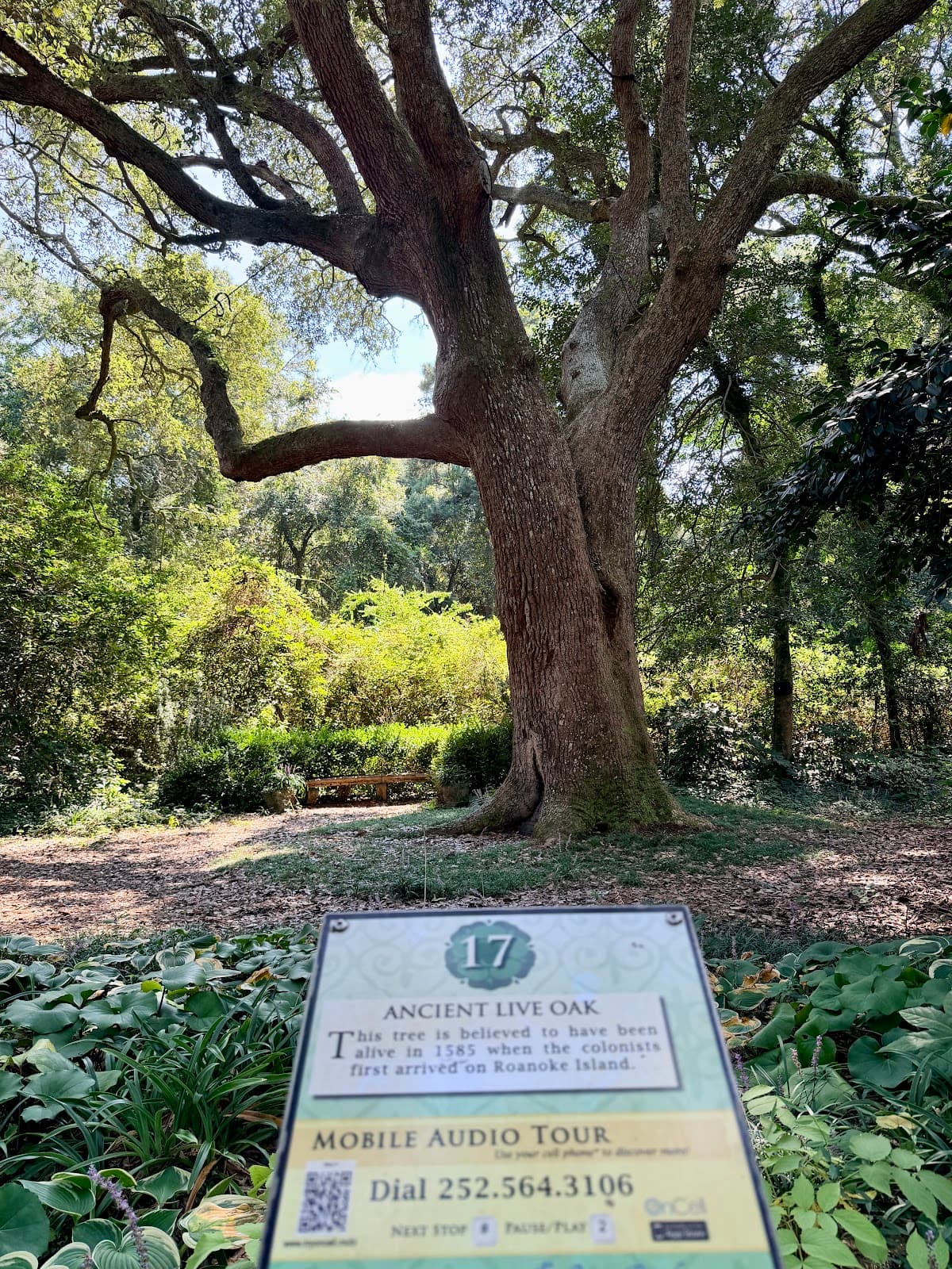 Elizabethan Gardens