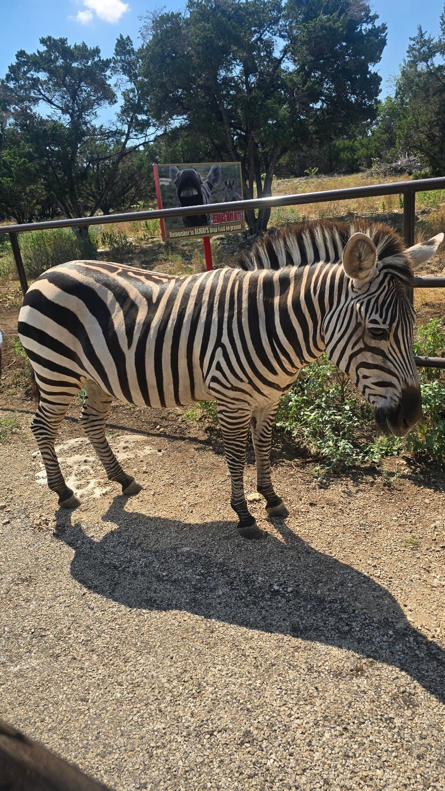 Natural Bridge Wildlife Ranch
