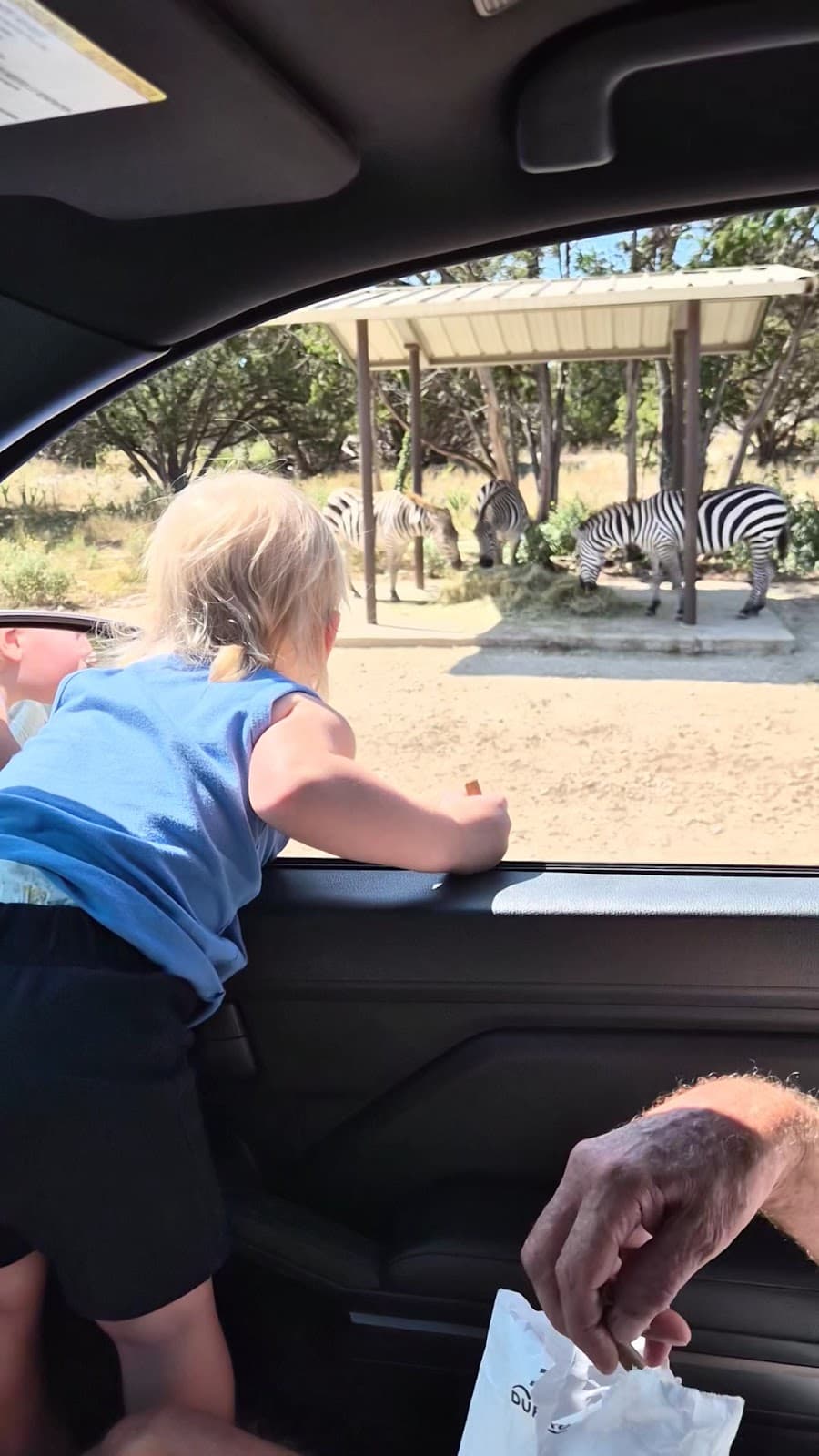 Natural Bridge Wildlife Ranch