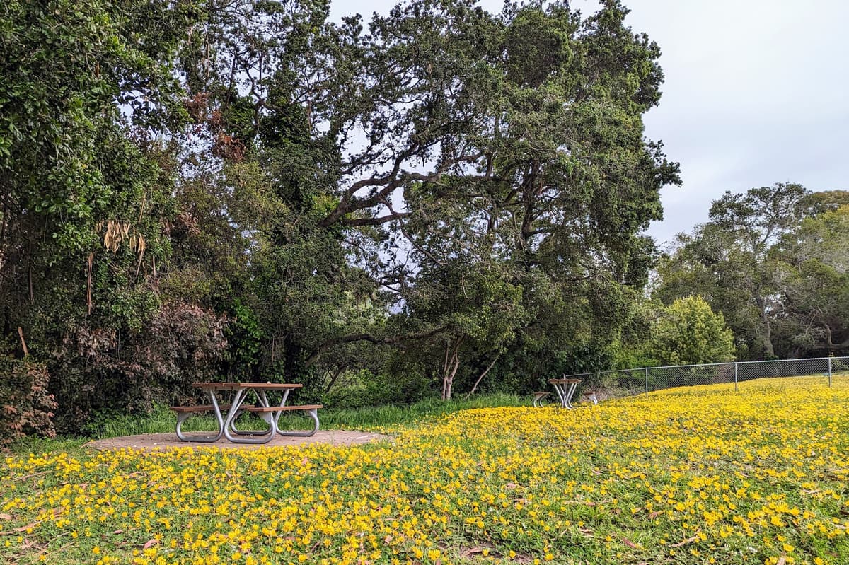 Coffee Lane County Park