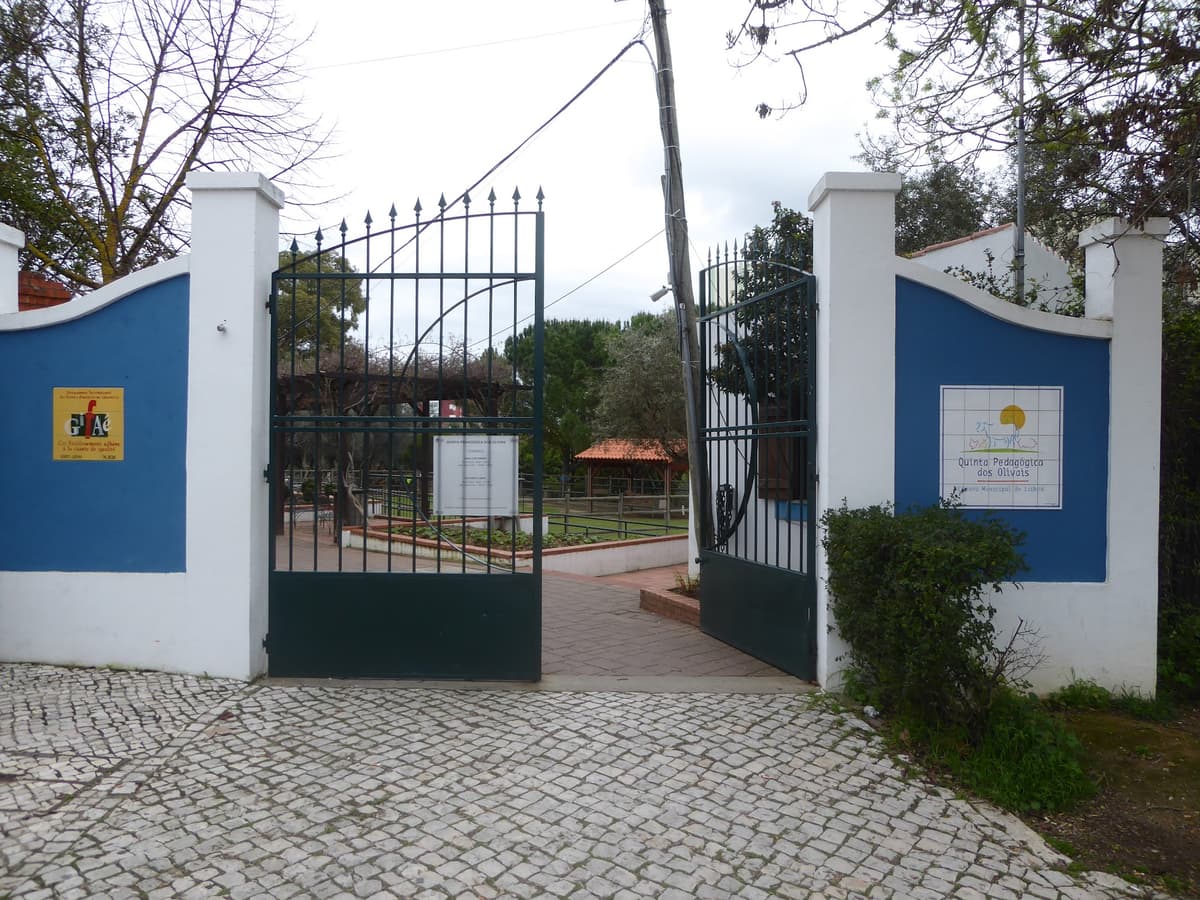 Quinta Pedagogica dos Olivais