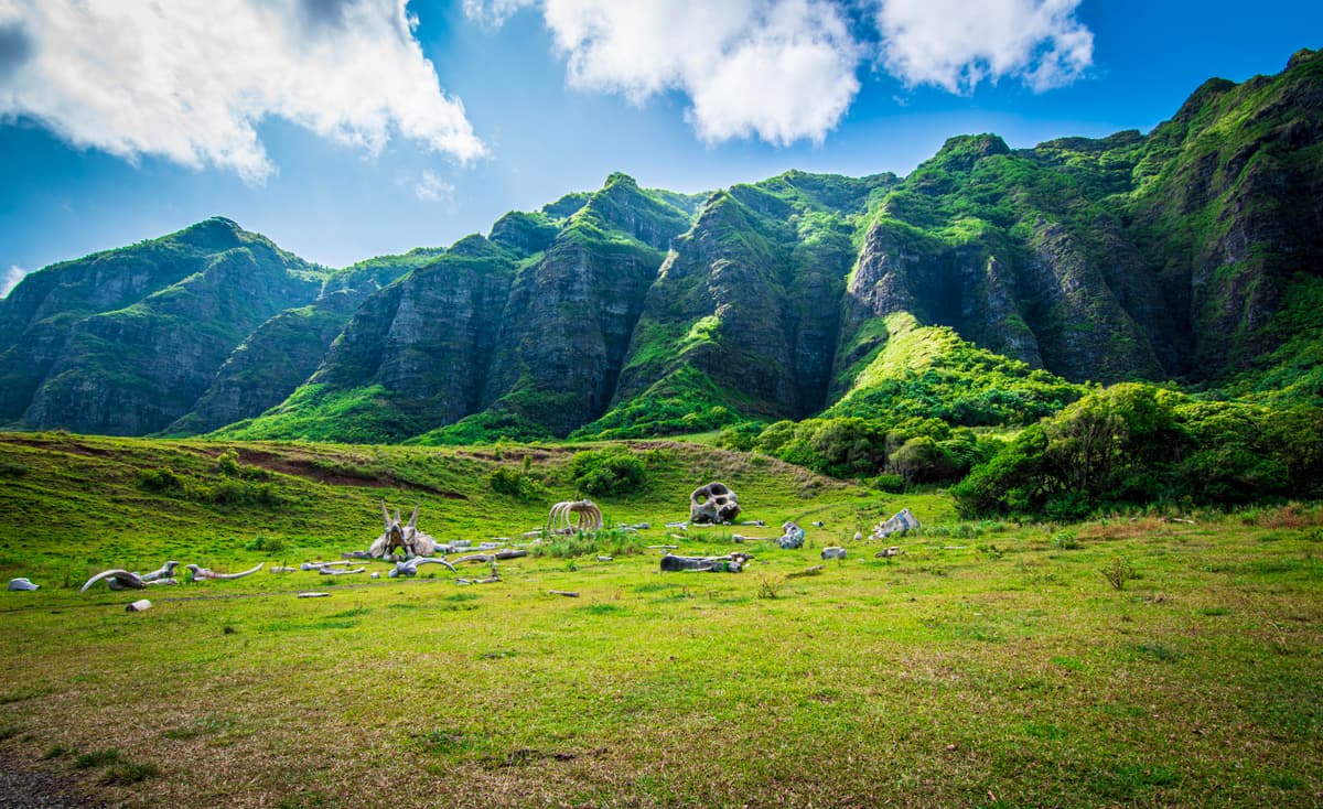 Kualoa Ranch