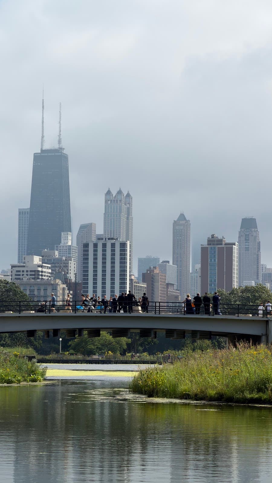 Nature Boardwalk at Lincoln Park Zoo