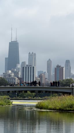 Nature Boardwalk at Lincoln Park Zoo