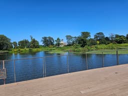Nature Boardwalk at Lincoln Park Zoo