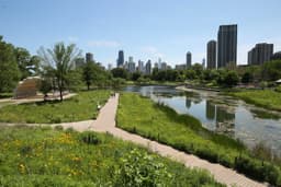 Nature Boardwalk at Lincoln Park Zoo