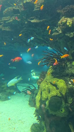 Oceanario de Lisboa