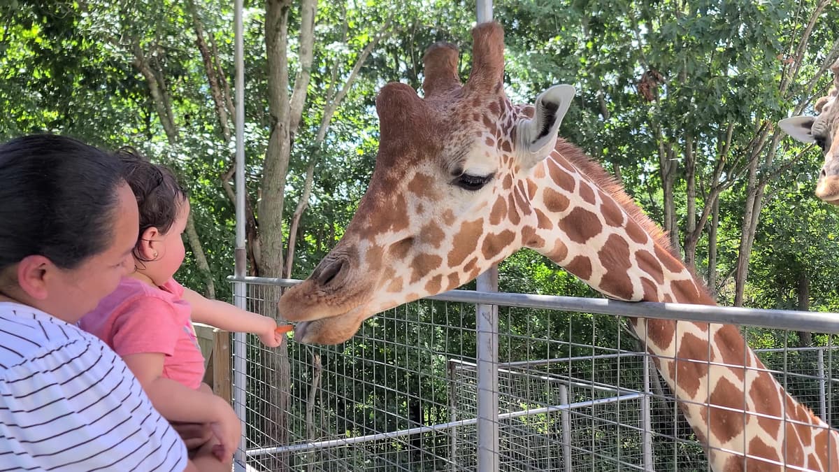 Zootastic Park