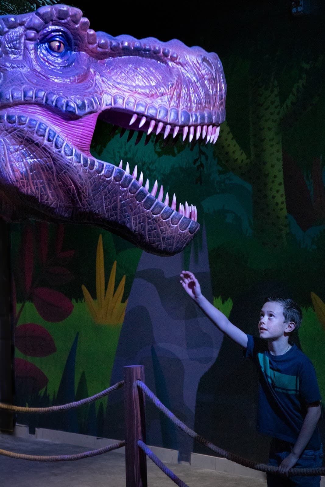 Dinosaur Outpost