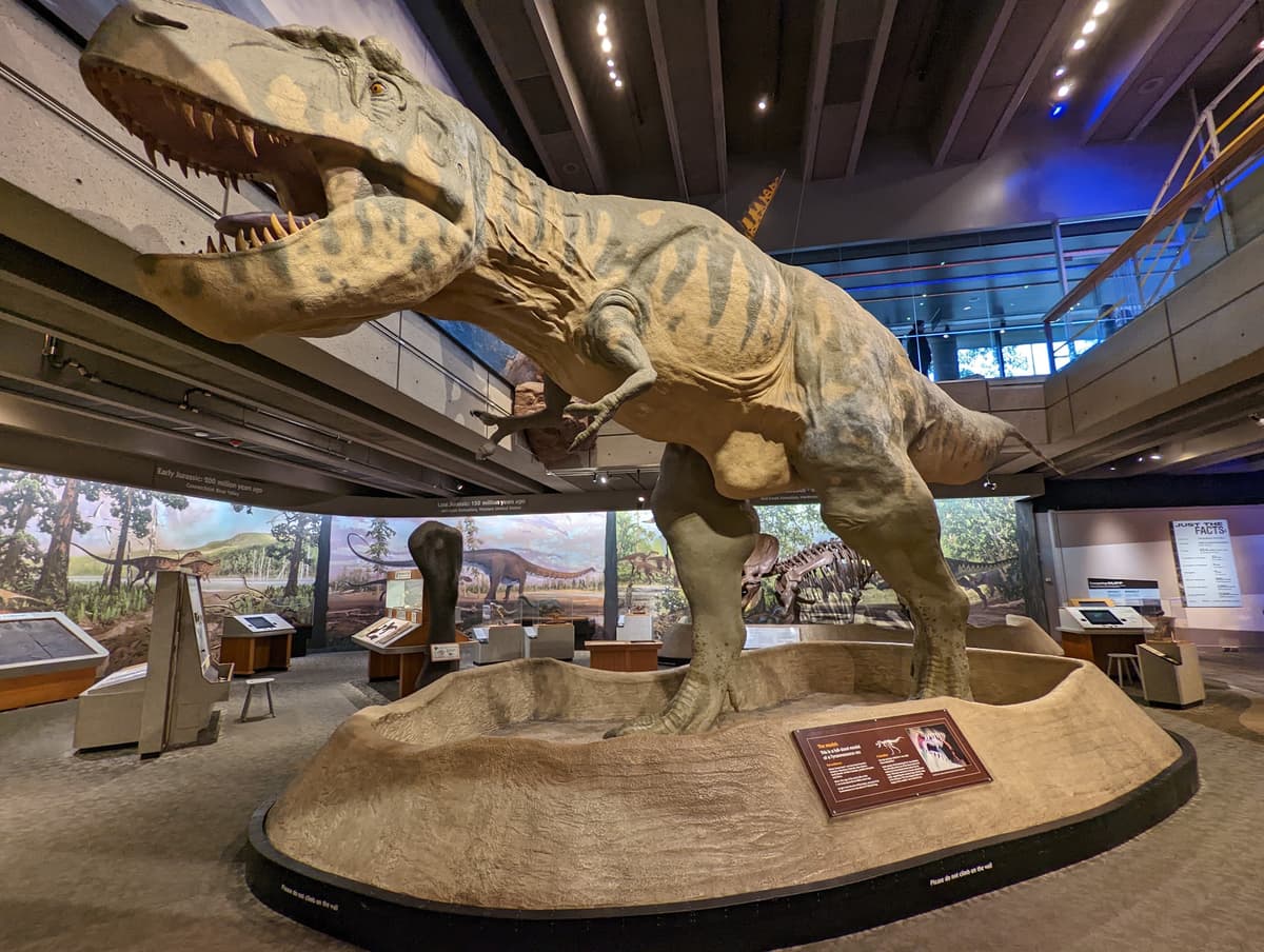 Museum of Science