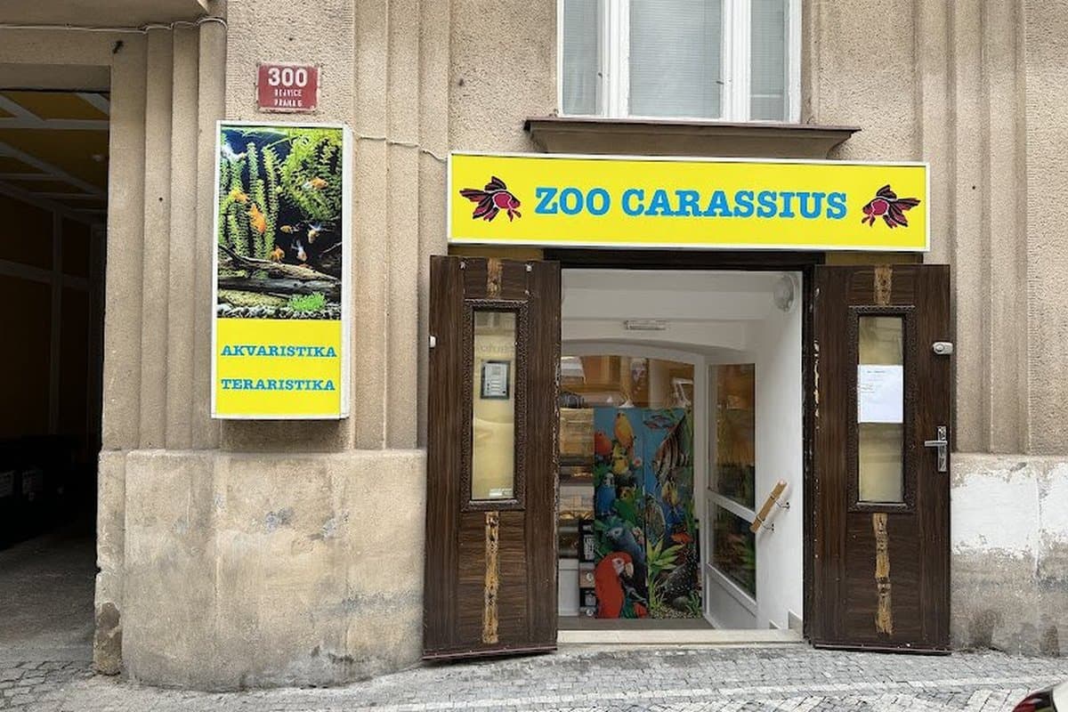 ZOO shop Carassius