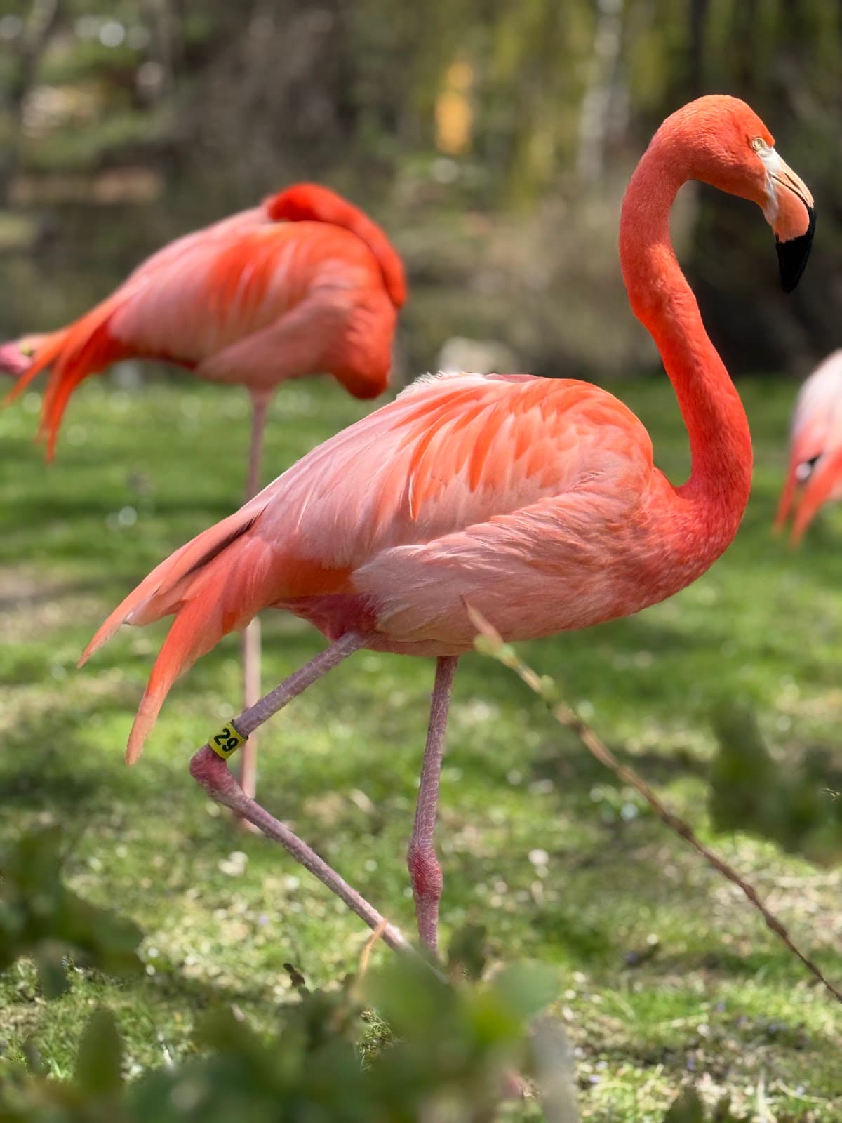 Milwaukee County Zoo