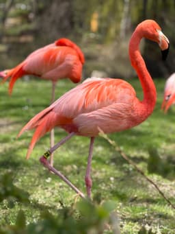Milwaukee County Zoo