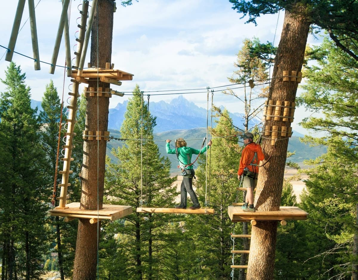 Treetop Adventure Park at Snow King Mountain