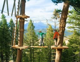 Treetop Adventure Park at Snow King Mountain