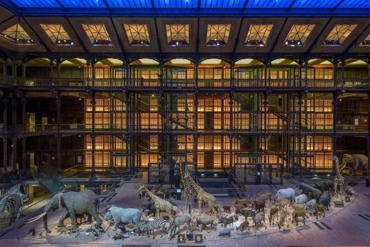 Gallery of Evolution