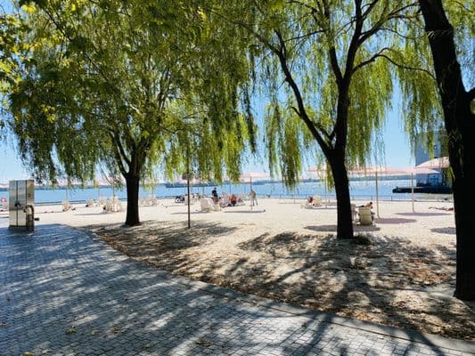 Balmy Beach Park, photo 1 of 6