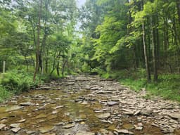 Long Branch Farm & Trails