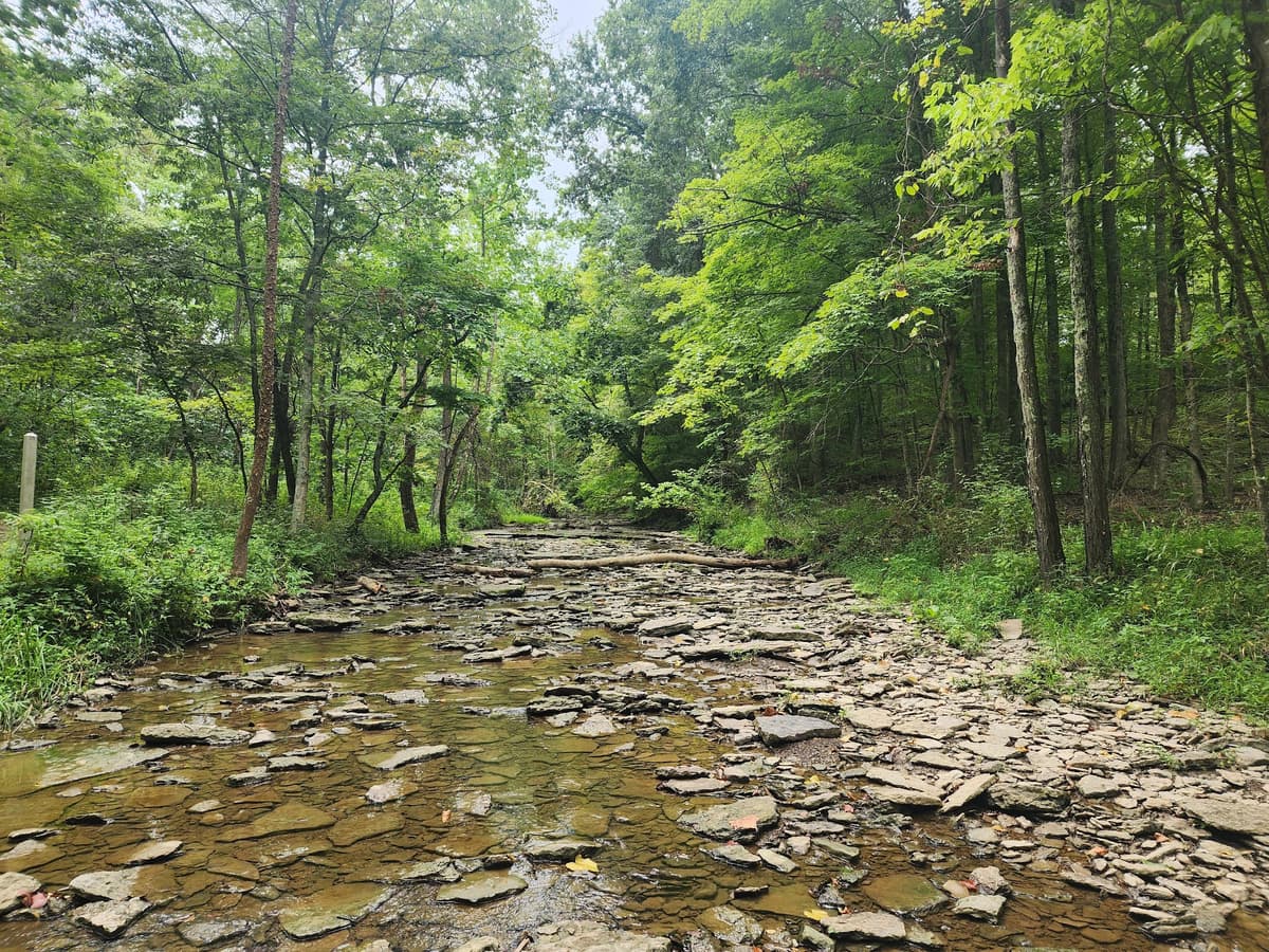 Long Branch Farm & Trails