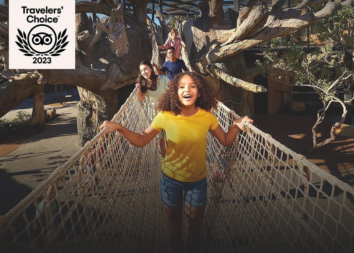 Wildlife Explorers Basecamp