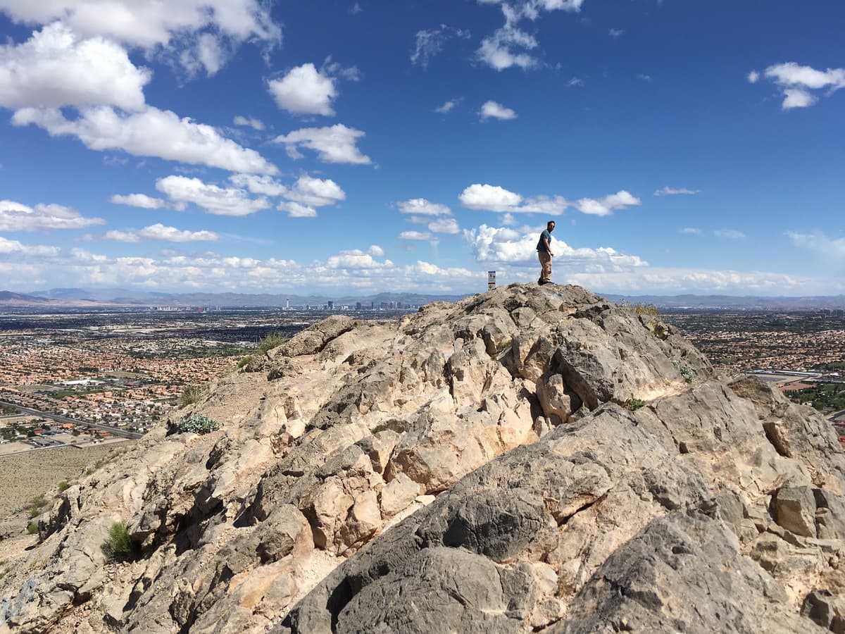 Lone Mountain Regional Park