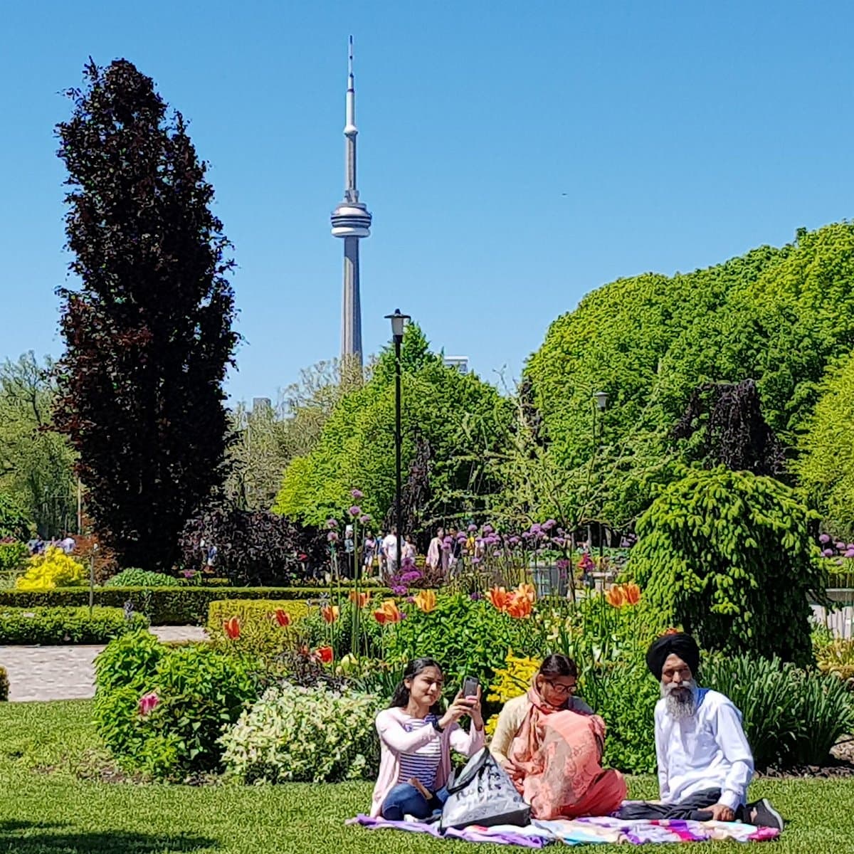 June Rowlands Park, photo 1 of 6