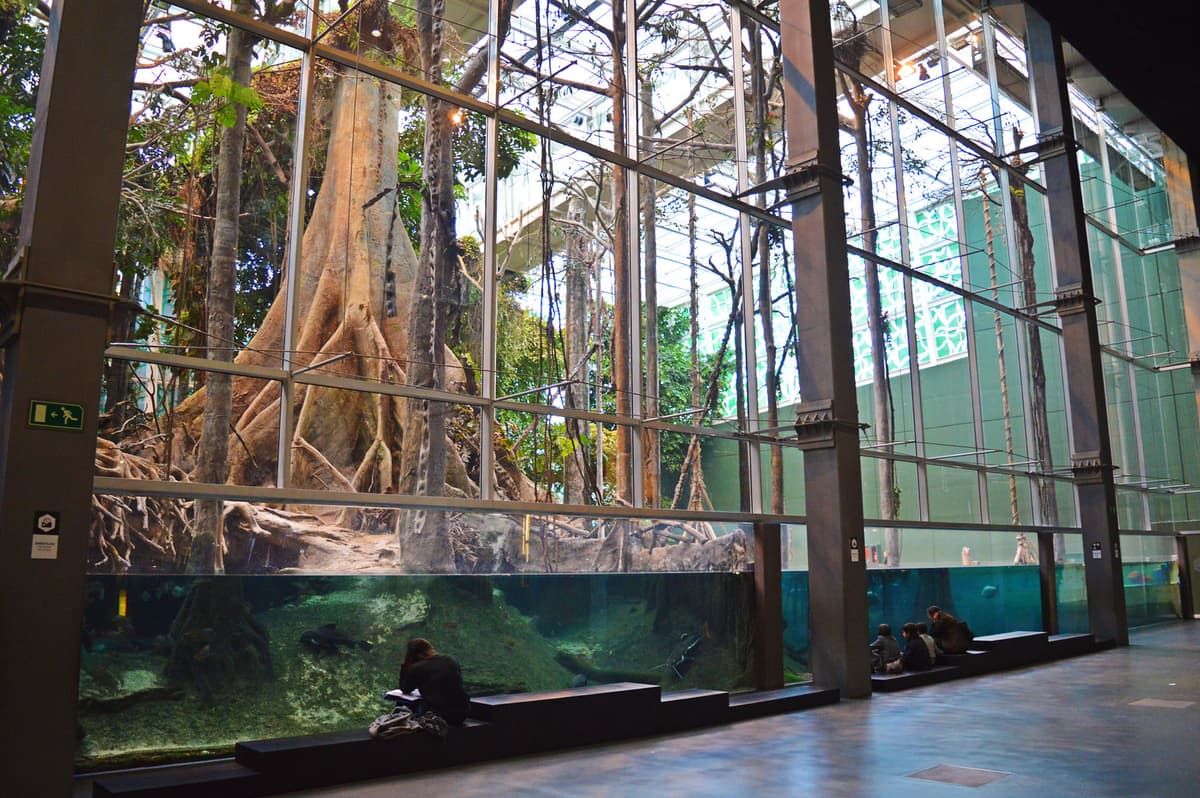 3 Days in Barcelona with Kids: The Perfect Family Itinerary