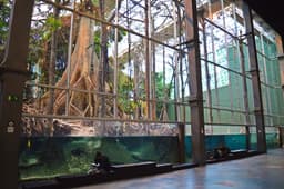 CosmoCaixa Museum of Science