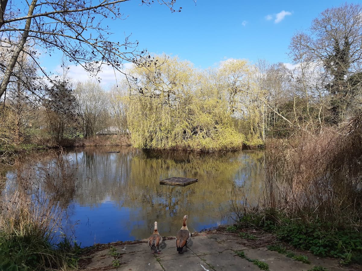 Sydenham Wells Park