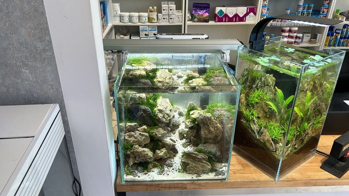 ReeF Aquarium