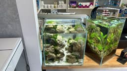 ReeF Aquarium