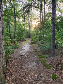 Cape Story Park
